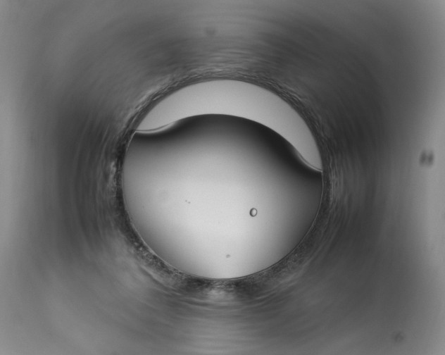 X0000112790308200909111219