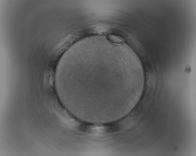 X0000112790313200909111218