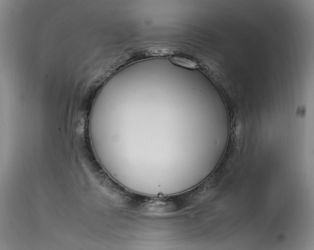 X0000112790315200909111218