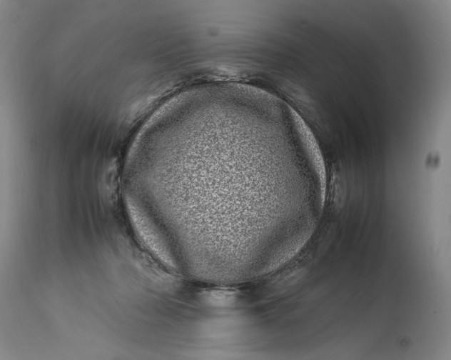 X0000112790318200909111218