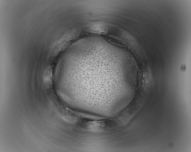 X0000112790320200909111218