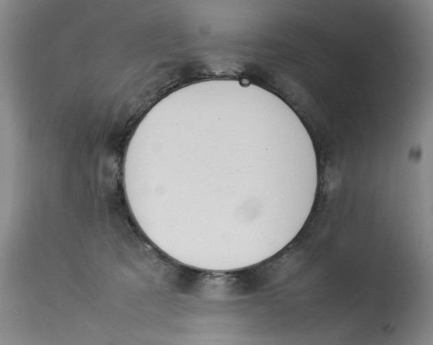 X0000112790321200909111218