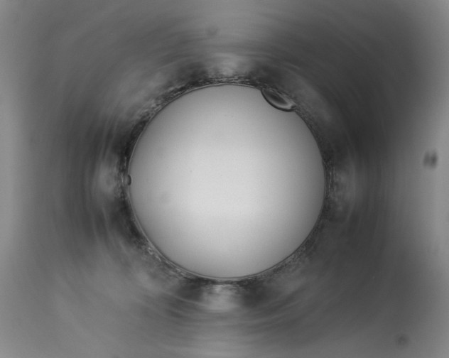 X0000112790324200909111218