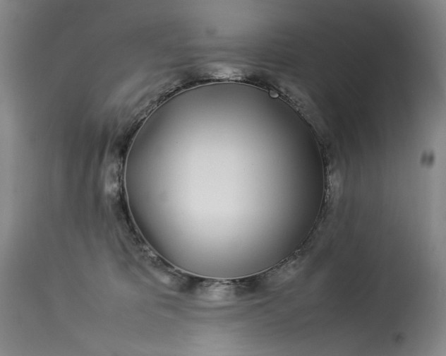 X0000112790325200909111218