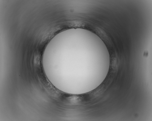 X0000112790326200909111218