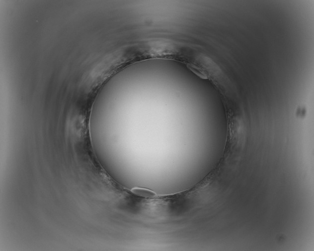 X0000112790327200909111218