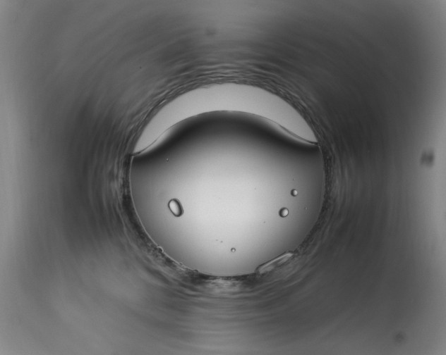 X0000112790328200909111218