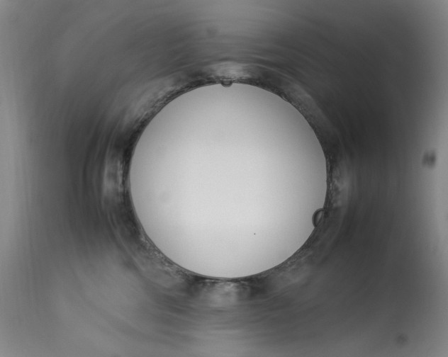 X0000112790330200909111218