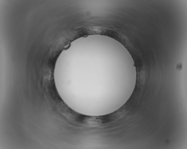 X0000112790331200909111218