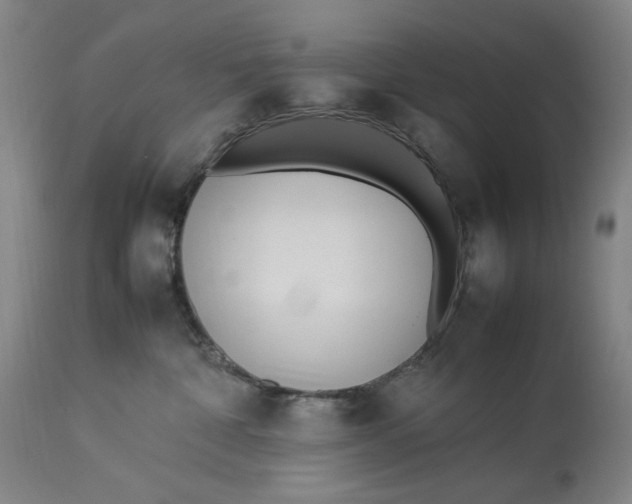 X0000112790332200909111218