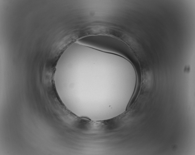 X0000112790333200909111218