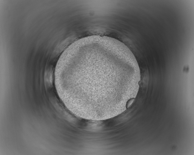 X0000112790334200909111218