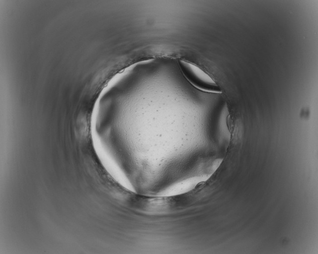 X0000112790335200909111218