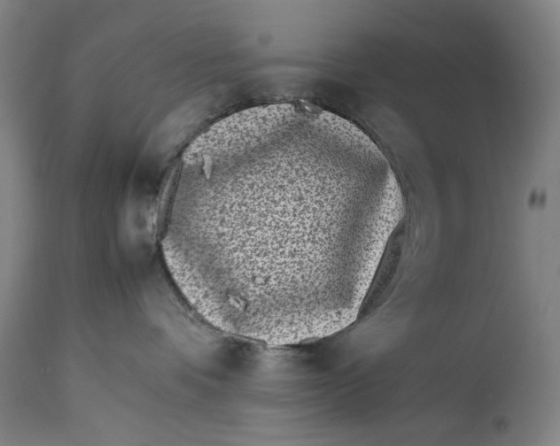 X0000112790336200909111218