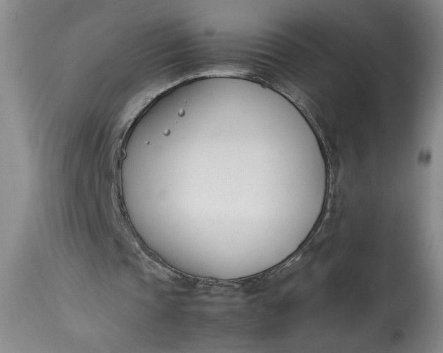 X0000112790337200909111217