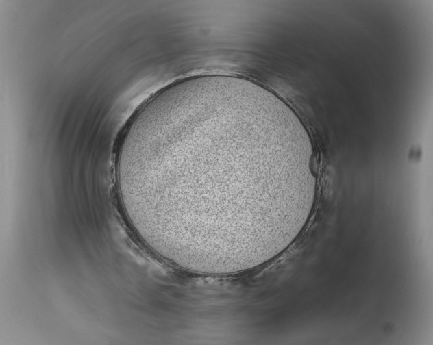 X0000112790338200909111217