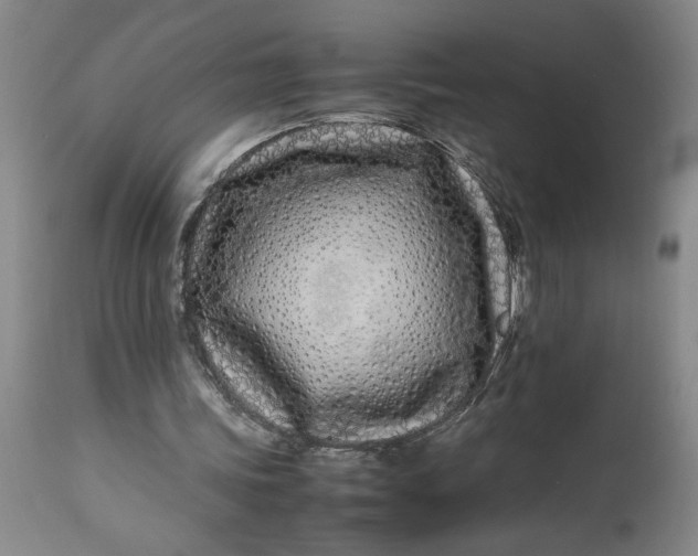 X0000112790339200909111217