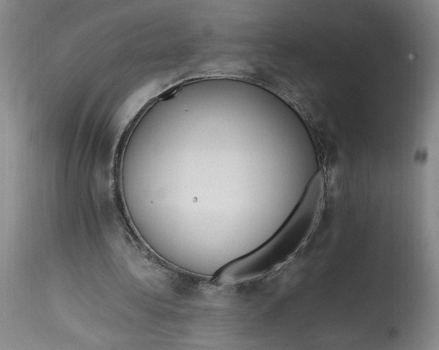 X0000112790340200909111217