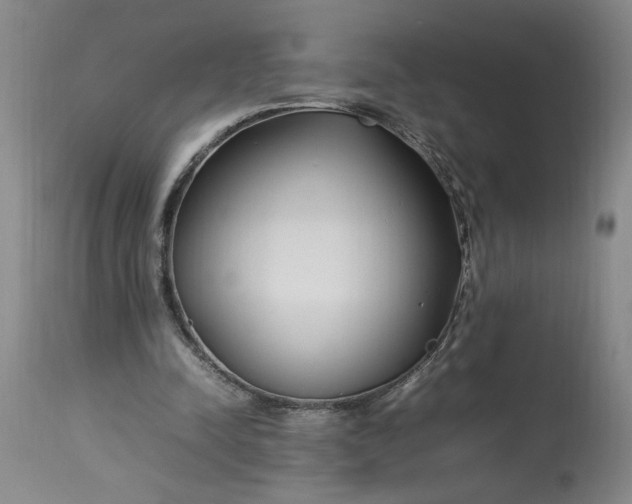 X0000112790342200909111217