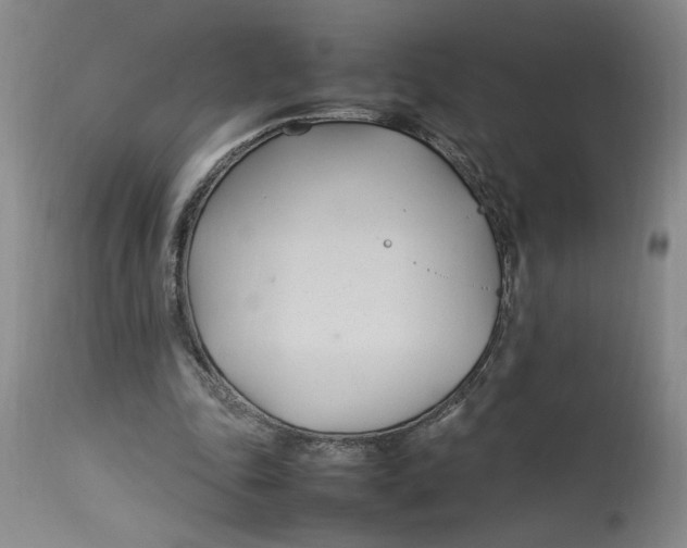 X0000112790343200909111217