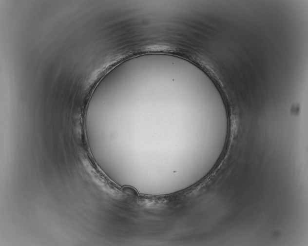 X0000112790345200909111217