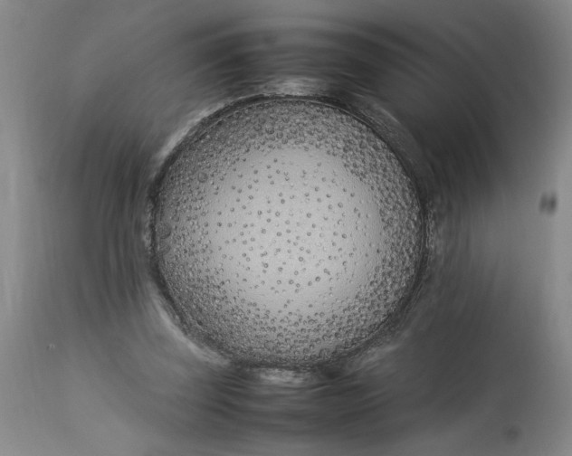 X0000112790347200909111217