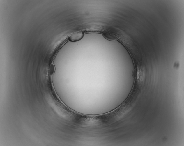 X0000112790348200909111217