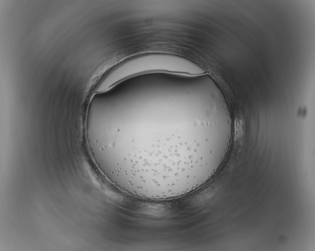 X0000112790349200909111217