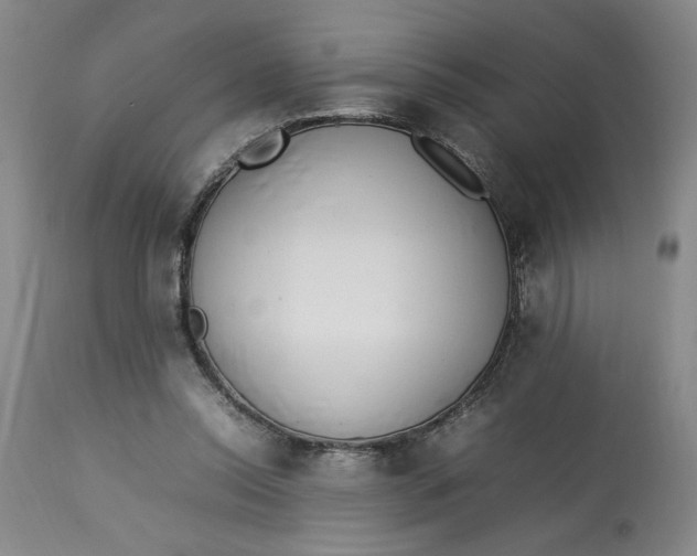 X0000112790350200909111217