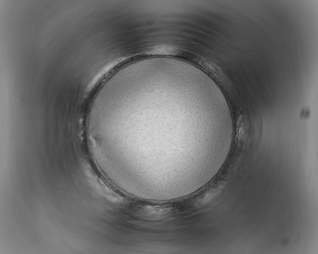 X0000112790351200909111218