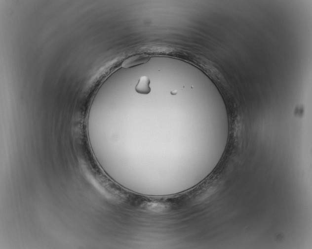 X0000112790352200909111218