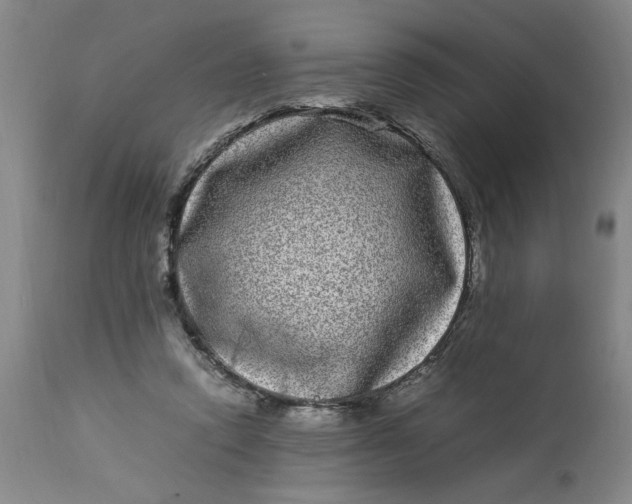 X0000112790354200909111218