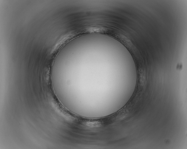 X0000112790357200909111218