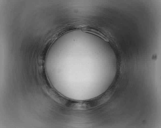 X0000112790366200909111218