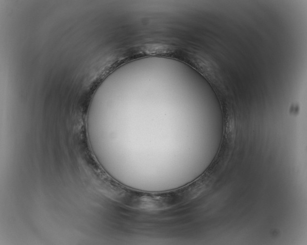 X0000112790367200909111218