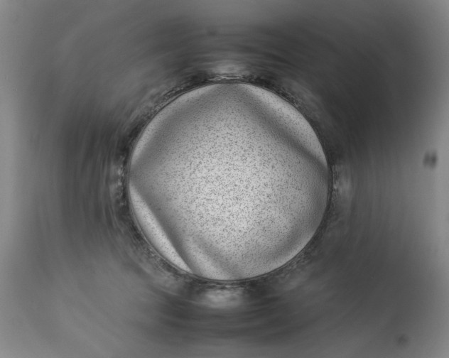 X0000112790369200909111218