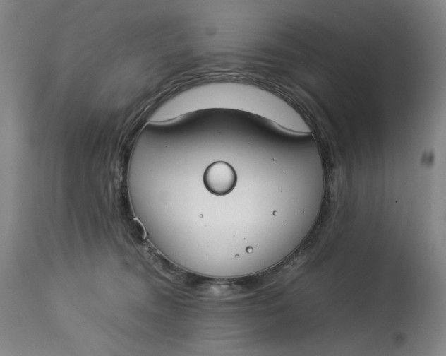 X0000112790372200909111218