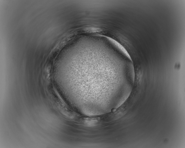 X0000112790373200909111218