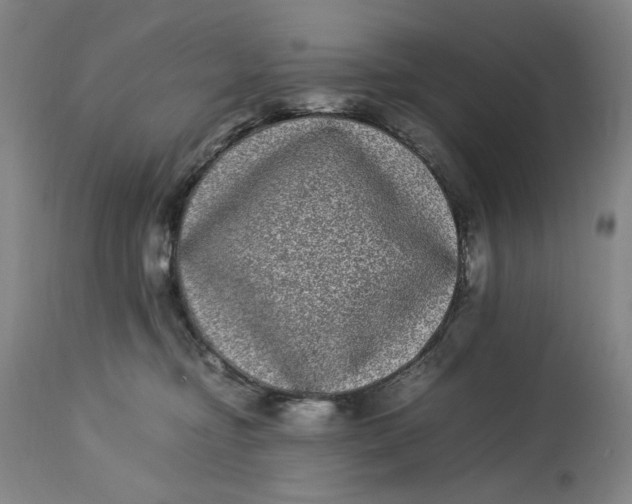 X0000112790374200909111218