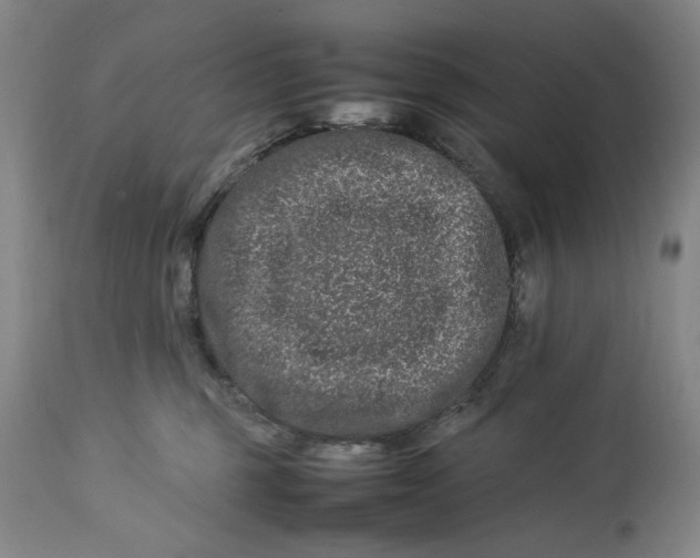 X0000112790375200909111218