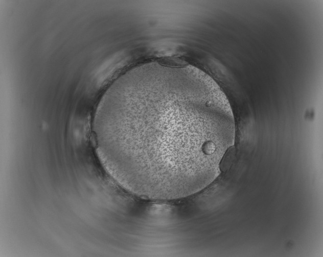 X0000112790376200909111218