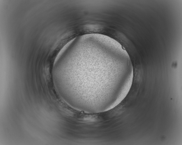 X0000112790377200909111218