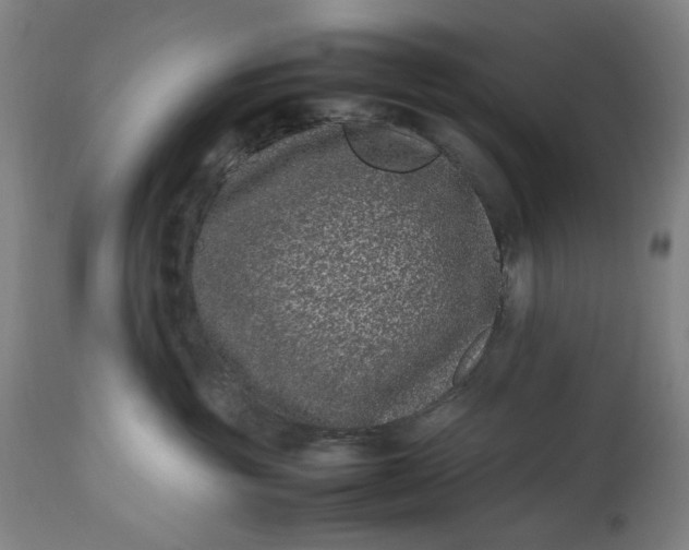 X0000112790381200909111218