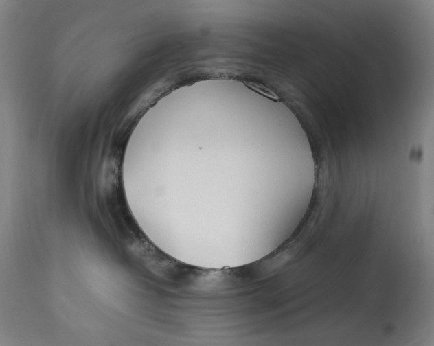 X0000112790382200909111218