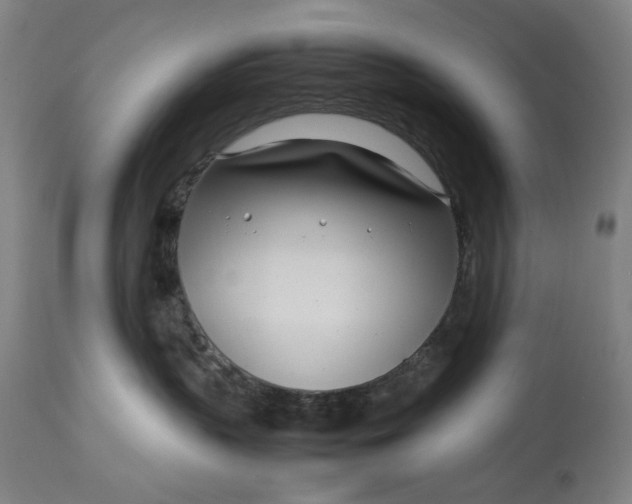 X0000112790383200909111218