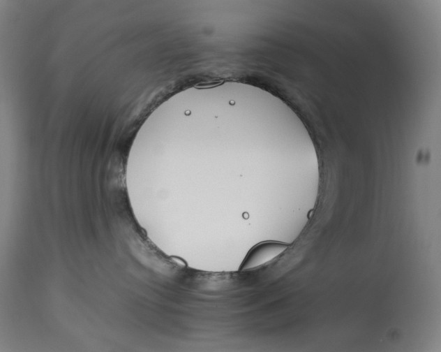 X0000112790384200909111218