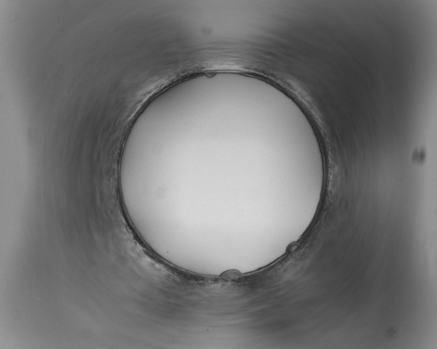 X0000112790385200909111217