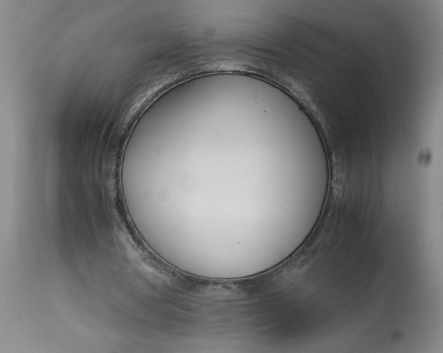 X0000112790386200909111217