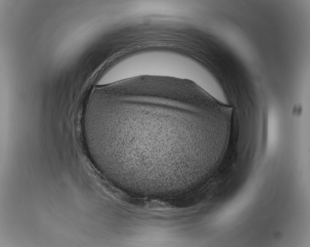 X0000112790387200909111217