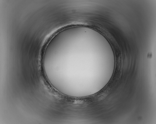 X0000112790388200909111217